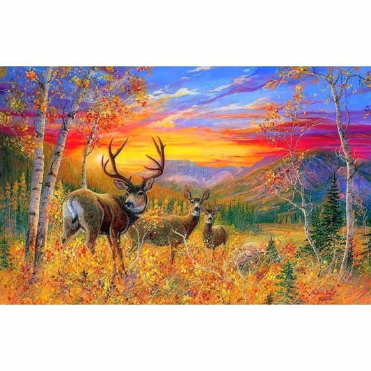 Hot Sale Full Full Drill - 5D Diy Diamond Painting Kits