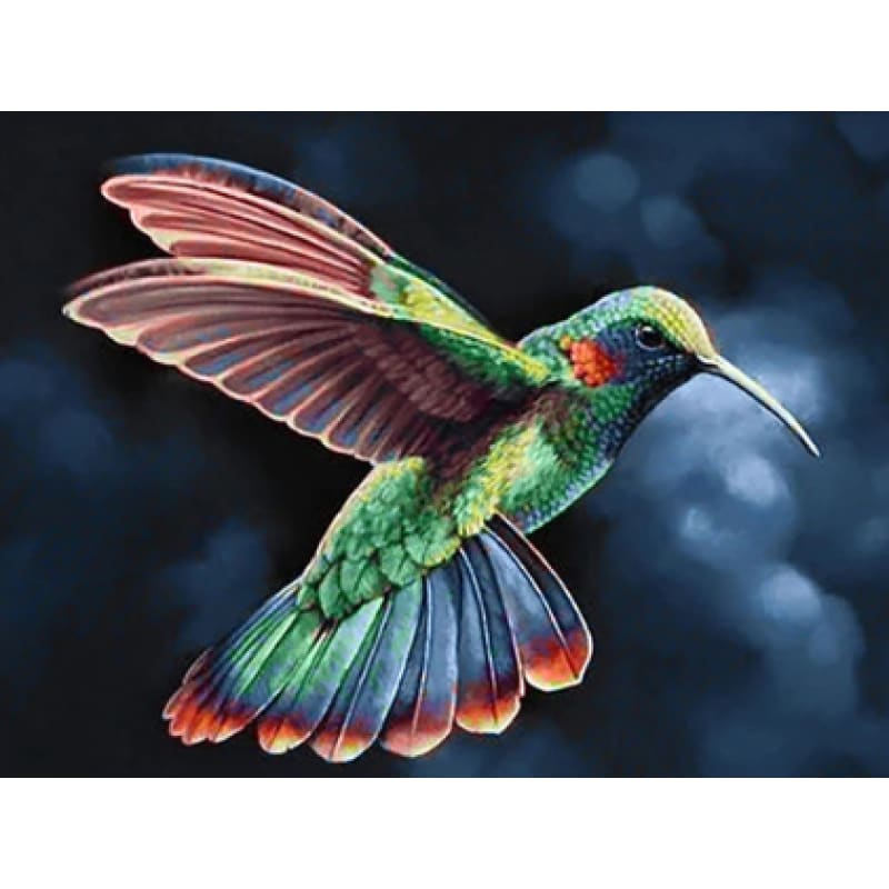 Hummingbird – Diamond Art Kits Australia