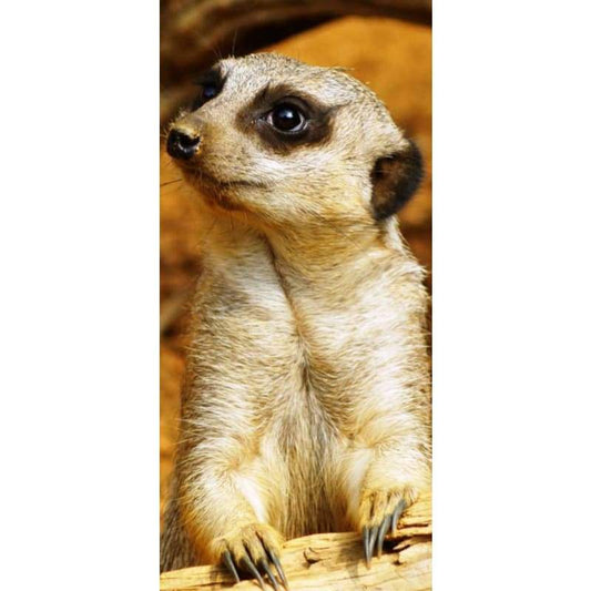Meerkats 02- Full Drill Diamond Painting - Special Order -
