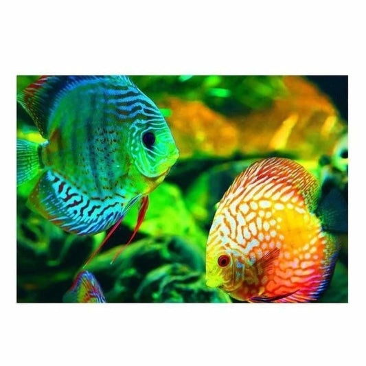 Mosaic Fish Picture Diy Full Drill - 5D Diamond Painting