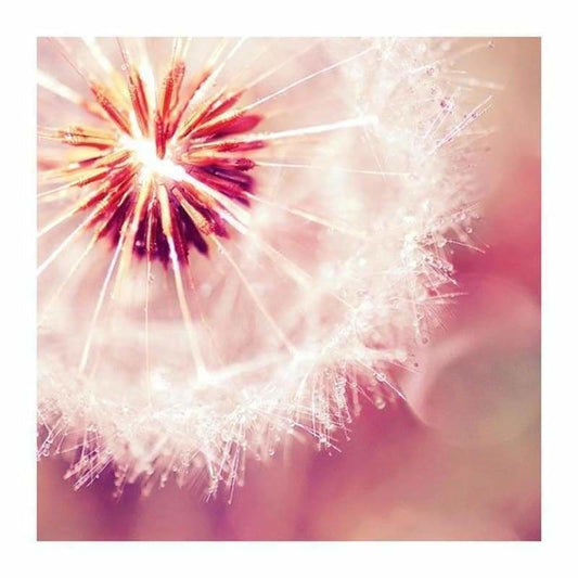 New Dandelion Diy Full Drill - 5D Crystal Diamond Painting