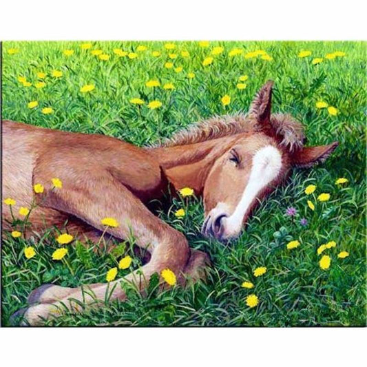 New Hot Sale Embroidery Animal Horse Full Drill - 5D Diy