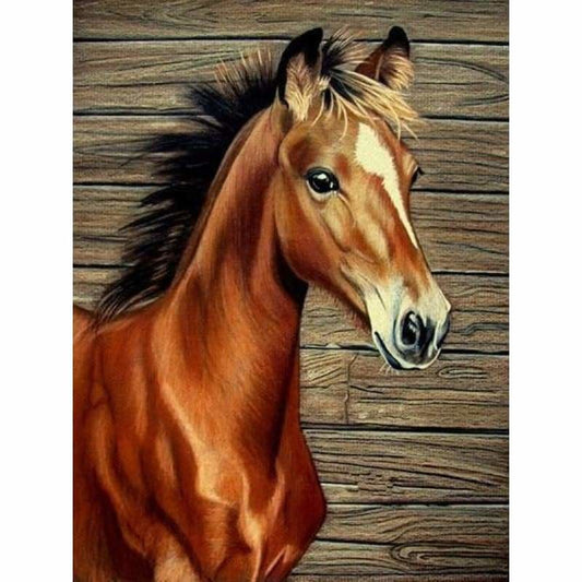New Hot Sale Embroidery Horse Full Drill - 5D Diy Diamond