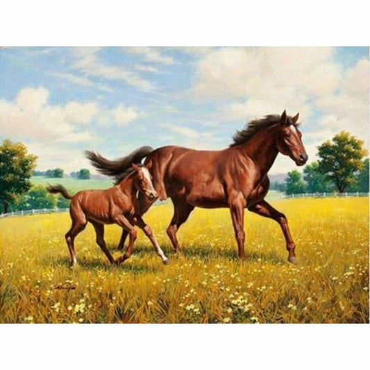 New Hot Sale Horse Picture Full Drill - 5D Diy Diamond