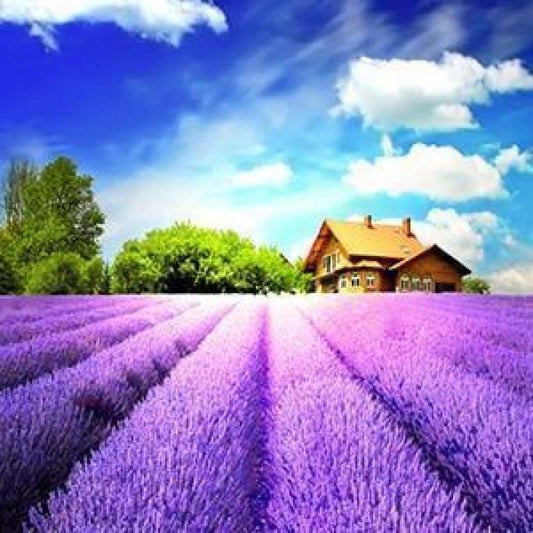 New Hot Sale Lavender Fields Picture Full Drill - 5D Diamond