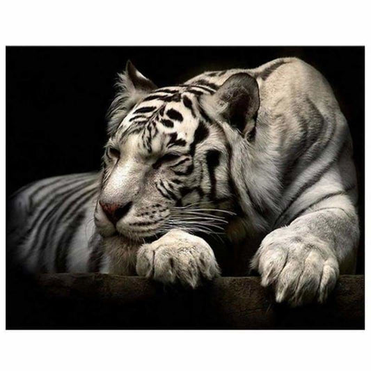 New Special Tiger Full Drill - 5D Diy Diamond Painting Kits