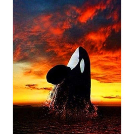 Orca - Full Drill Diamond Painting - Special Order - Full