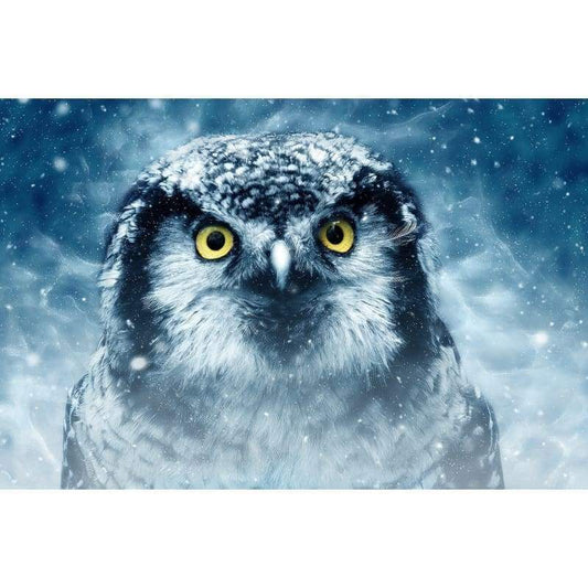 Owl in Snow- Full Drill Diamond Painting - Special Order -