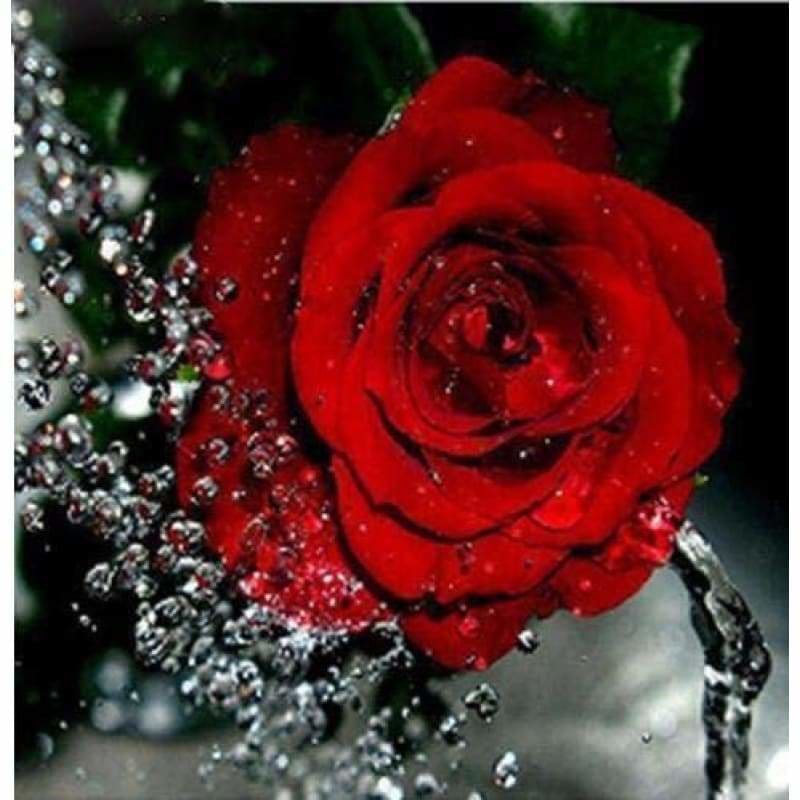 Red Rose Flower Full Drill - Full Drill - 5D DIY Diamond 