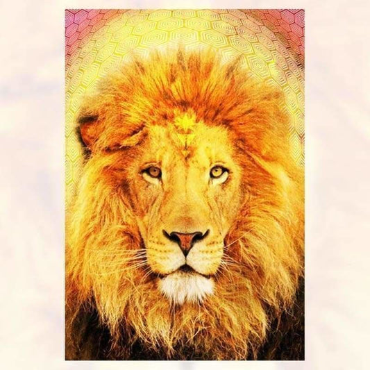 Special Animal Lions Portrait Full Drill - 5D Diy Diamond