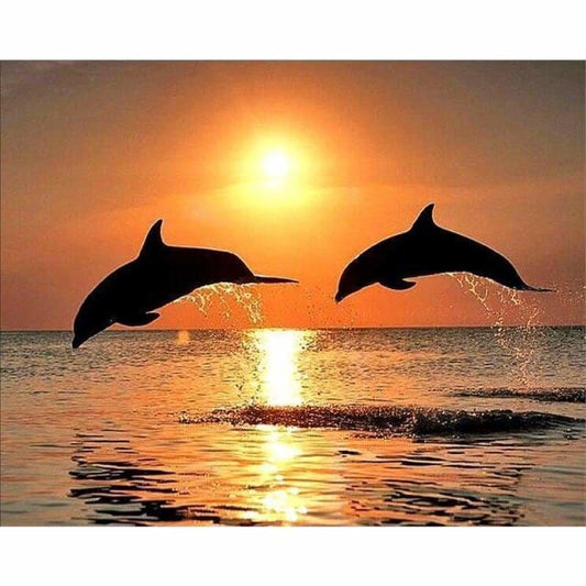 Special Dolphin Portrait Full Drill - 5D Diy Full Diamond