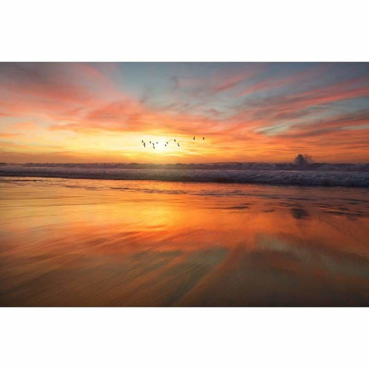 Sunset with birds- Full Drill Diamond Painting - NEEDLEWORK KITS